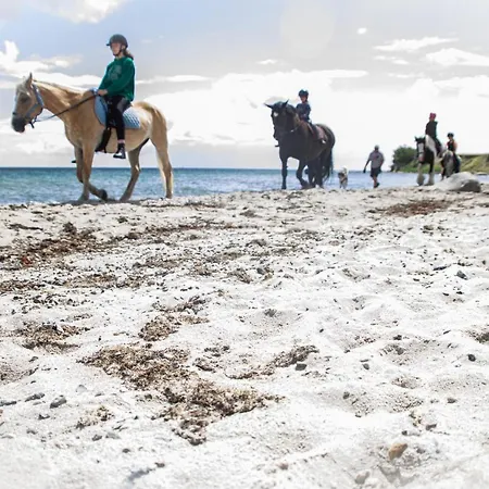 아파트 Staberhuk Baben - Grosser Sonniger Balkon - Xl *