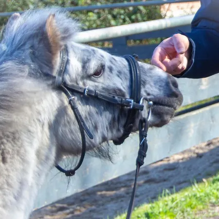 아파트 Staberhuk Baben - Grosser Sonniger Balkon - Xl *