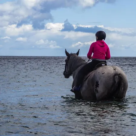 아파트 Staberhuk Baben - Grosser Sonniger Balkon - Xl Staberdorf