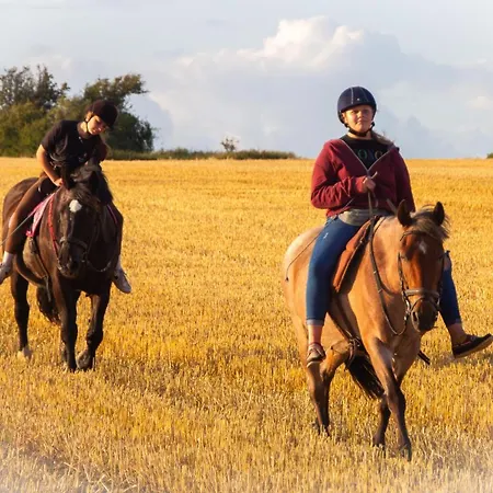 Staberhuk Baben - Grosser Sonniger Balkon - Xl