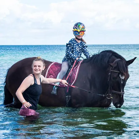 Staberhuk Baben - Grosser Sonniger Balkon - Xl 아파트 *