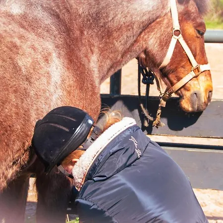 아파트 Staberhuk Baben - Grosser Sonniger Balkon - Xl Staberdorf